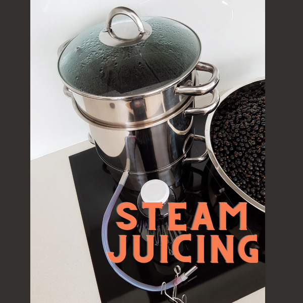 Perfectly Preserved Podcast Ep 39 - Steam Juicing and Why You Should Do It