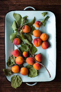 Apricot Jam - pint